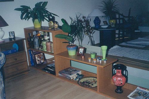 img07486-12.jpg