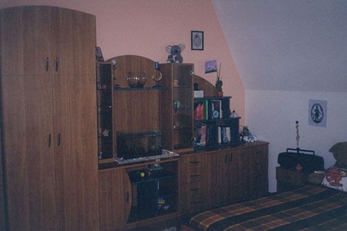img07486-4.jpg
